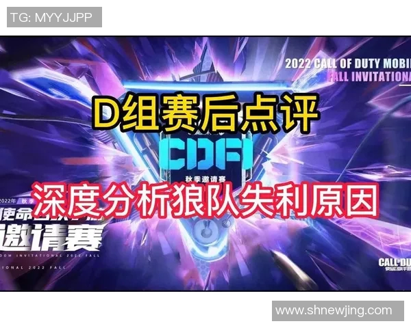 上海排球队在挑战赛中的团队协作表现分析与点评